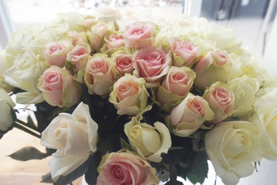 Clea Tea Bar &&nbsp;Lounge