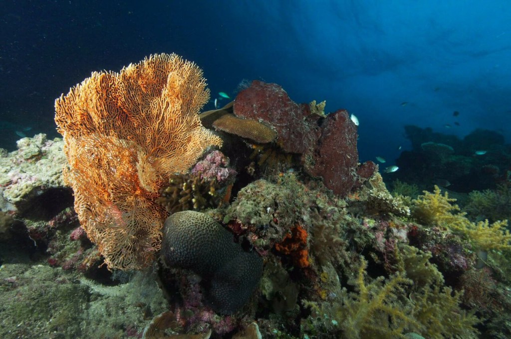 My first diving&nbsp;experience